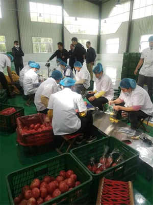 玉皇庙镇中汇中央厨房携手美团开展市场调研，开启数字化餐饮新篇章