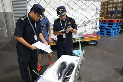 随到随报、随到随验 杭州空港冰鲜水产进口持续增长的市场调查