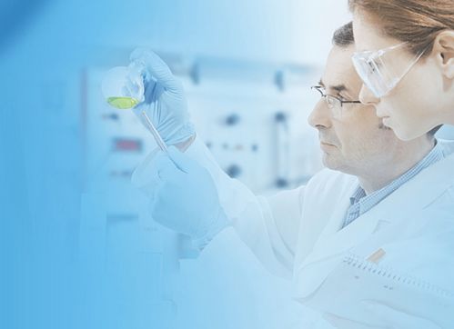 技术驱动食品行业合规升级 致佳咨询BRC GS Food咨询服务案例分享